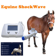 Machine Extracorporeal équine de forte intensité de thérapie d'onde choc pour le cheval