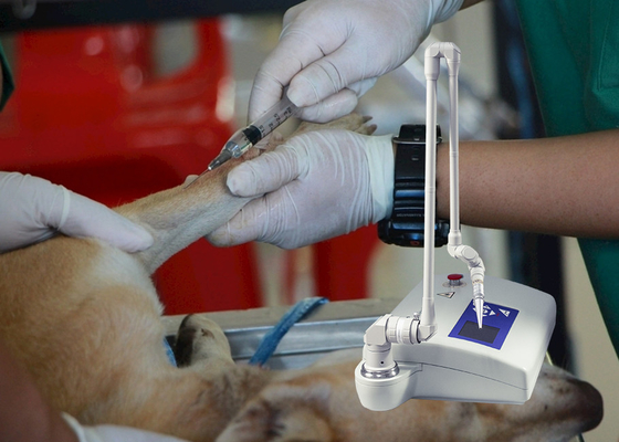 Machine partielle de laser de CO2 vétérinaire d'instrument médical pour des chiens/clinique vétérinaire