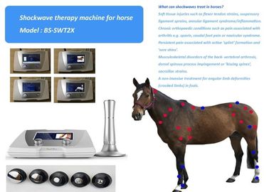 Thérapie animale équine acoustique de point de déclencheur du système 1-22Hz de thérapie d'onde de choc de traitement de douleur